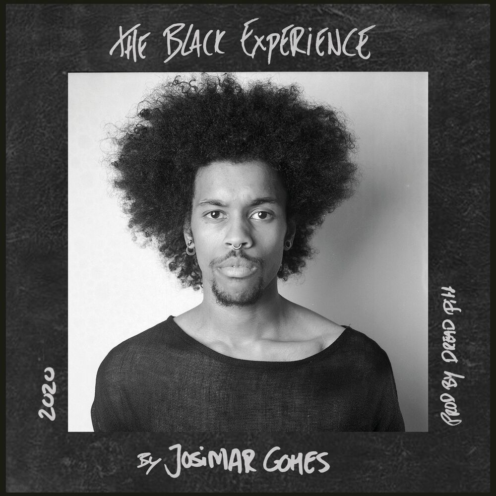 Picture of The Black Experience