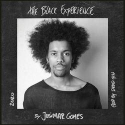 Cover of The Black Experience