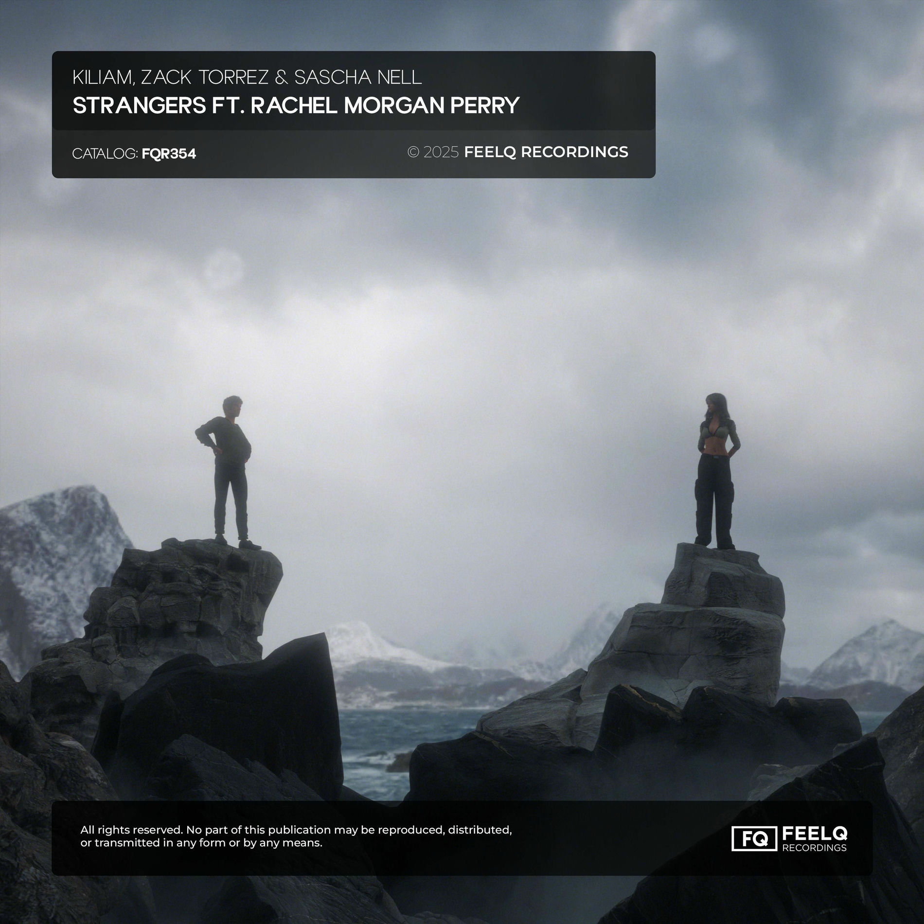 Album cover of Strangers