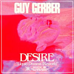 Cover of Liquid Dreams (Guy Gerber Rework)