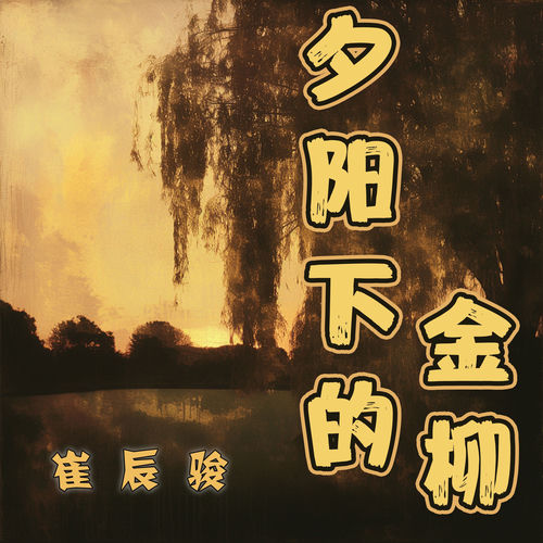 夕阳下的金柳