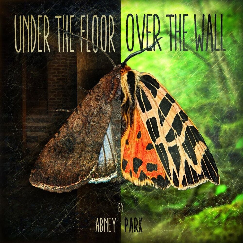 Picture of Under the Floor, Over the Wall