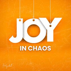 Cover of Joy in Chaos