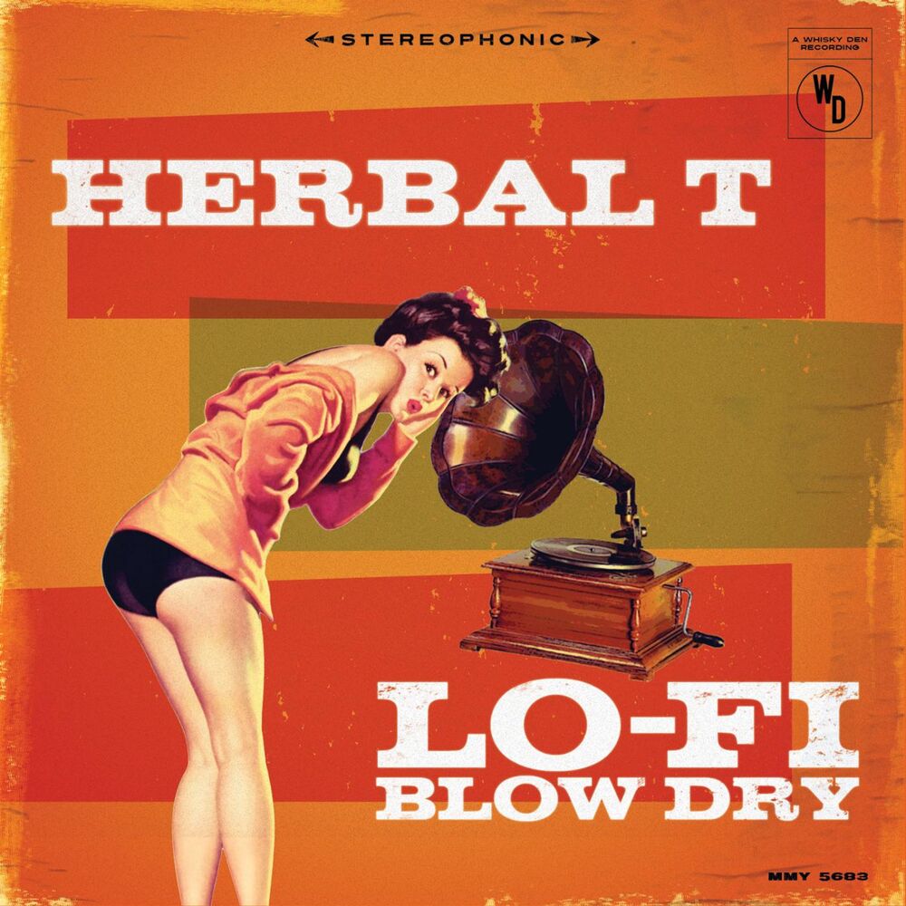 Picture of Lo-Fi Blow Dry