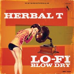 Cover of Lo-Fi Blow Dry