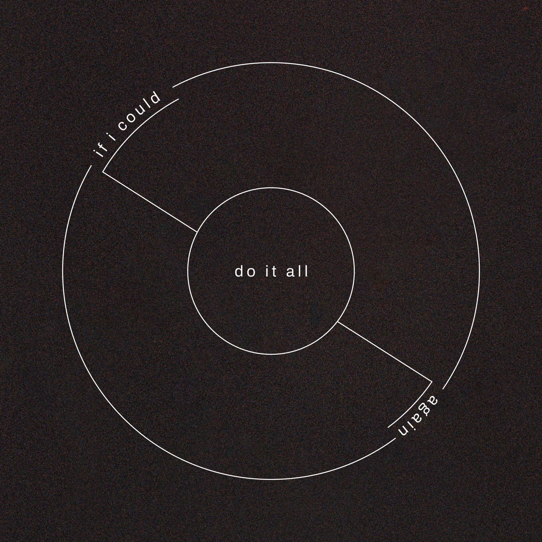 Album cover of if i could do it all again