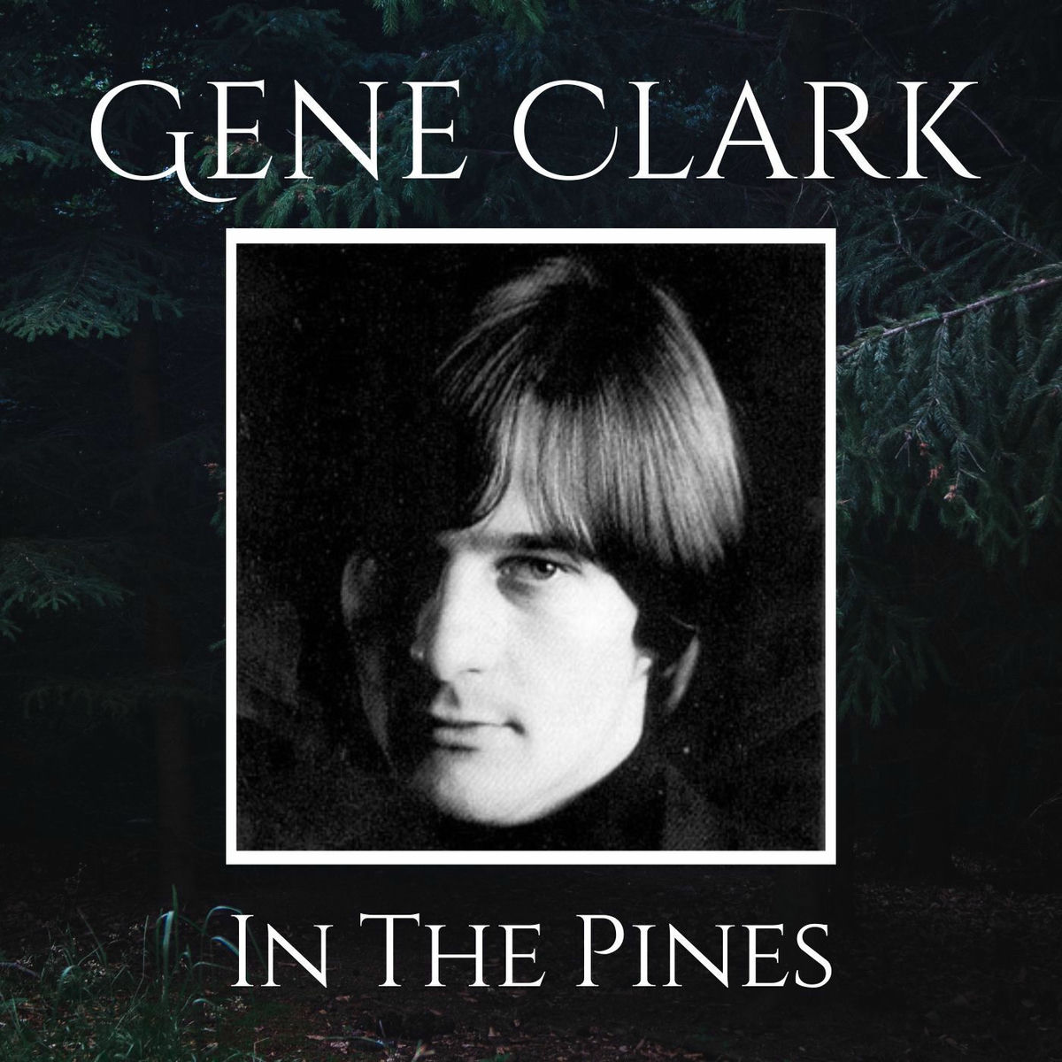 Album cover of In The Pines