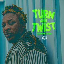 Cover of Turn and Twist