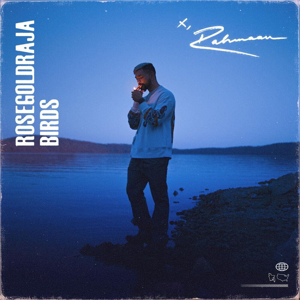 Picture of ROSEGOLDRAJA / BIRDS