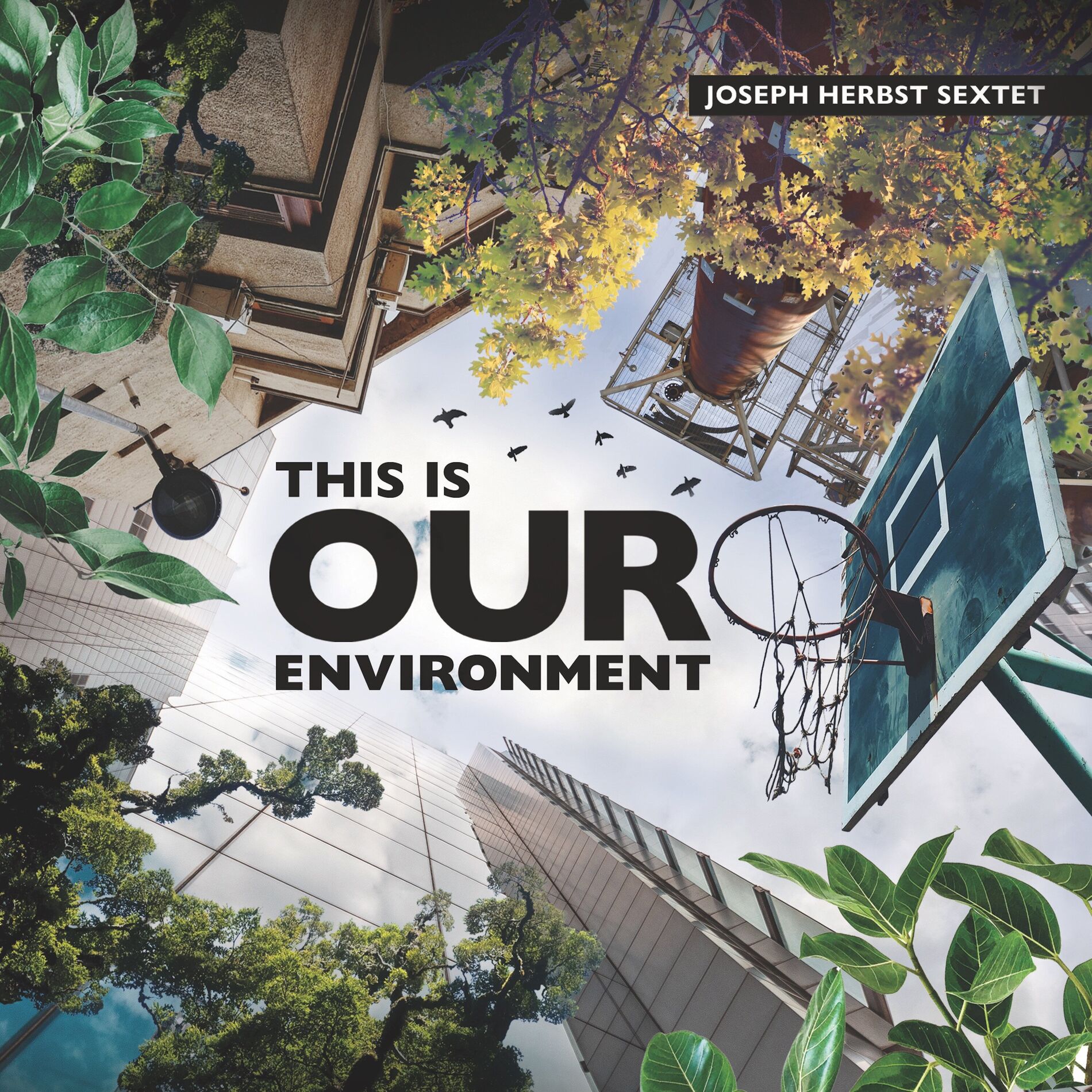 Album cover of This is Our Environment