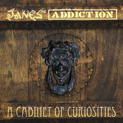 Cover of A Cabinet of Curiosities