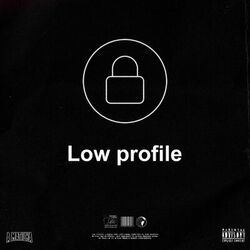 Cover of Low Profile