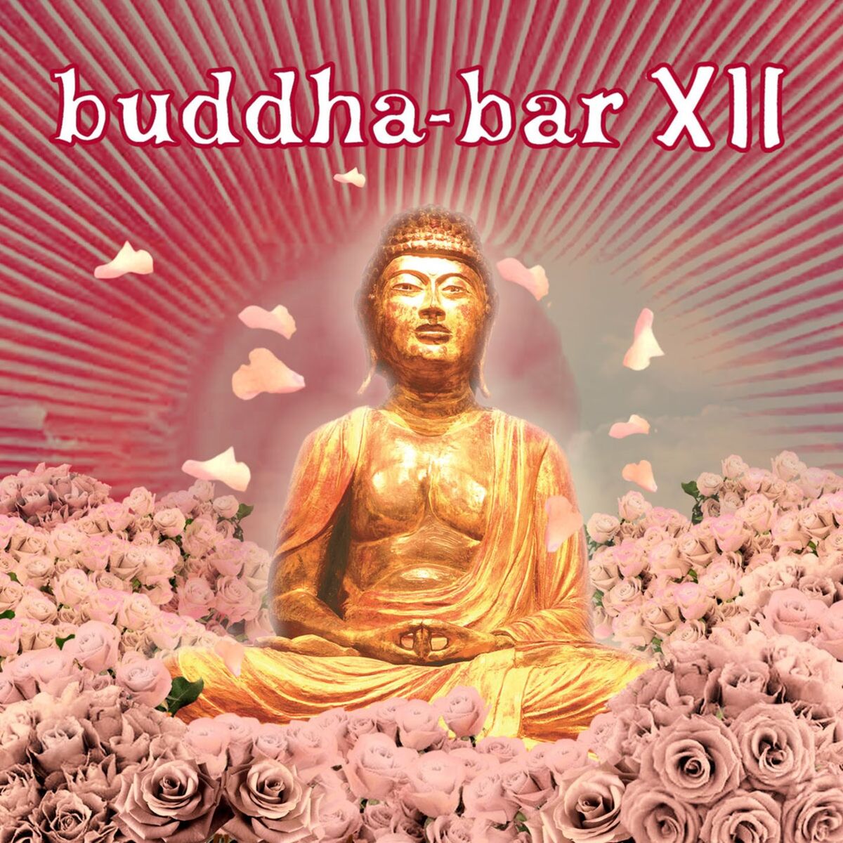 Album cover of Viusu
