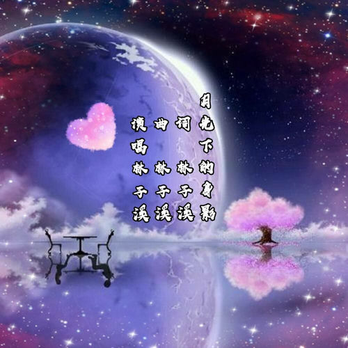 月光的身影