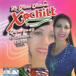 Cover of La Reina Sonidera.15 GRANDES EXITOS, Vol. 1 ¡Seguro que si!