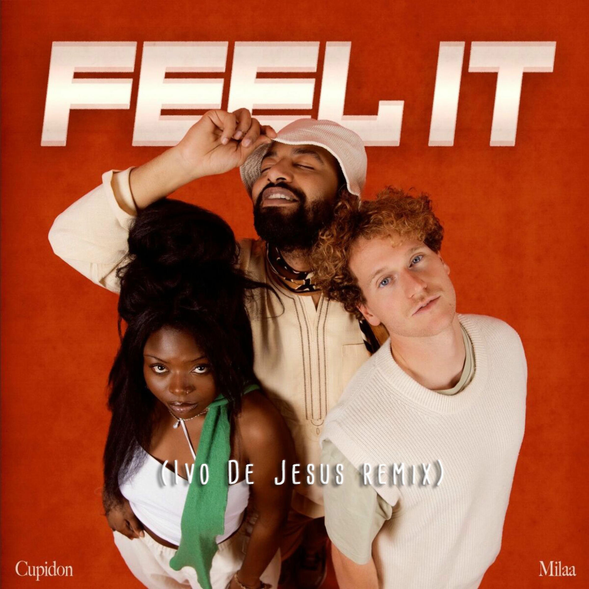 Album cover of Feel It (feat. Cupidon) [Ivo De Jesus Remix AfroMix]
