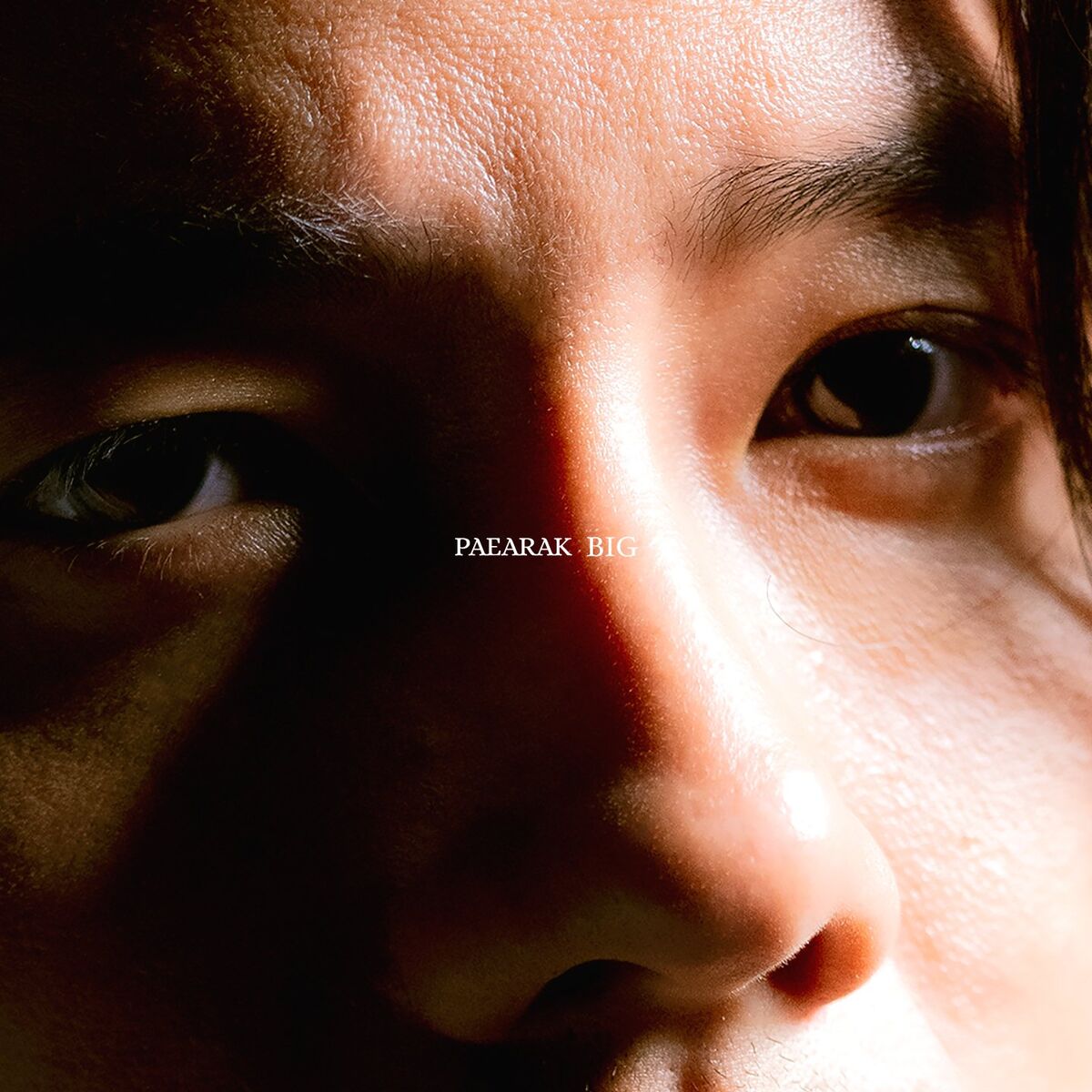 Album cover of Big