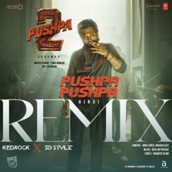 Cover of Pushpa Pushpa Remix