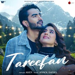 Cover of Tareefan