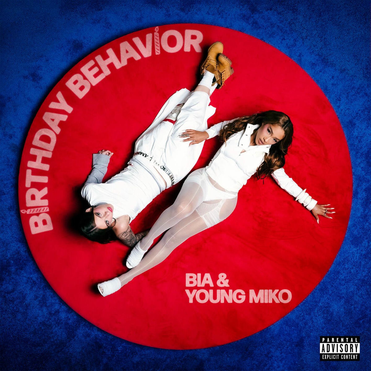 Album cover of BIRTHDAY BEHAVIOR