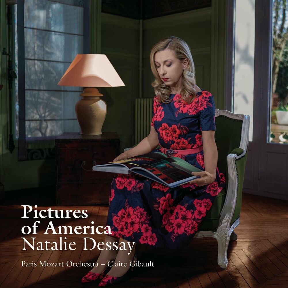 Picture of Pictures of America