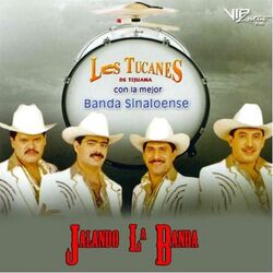 Cover of Jalando La Banda