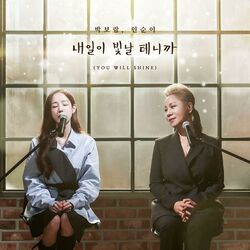 Cover of You will shine