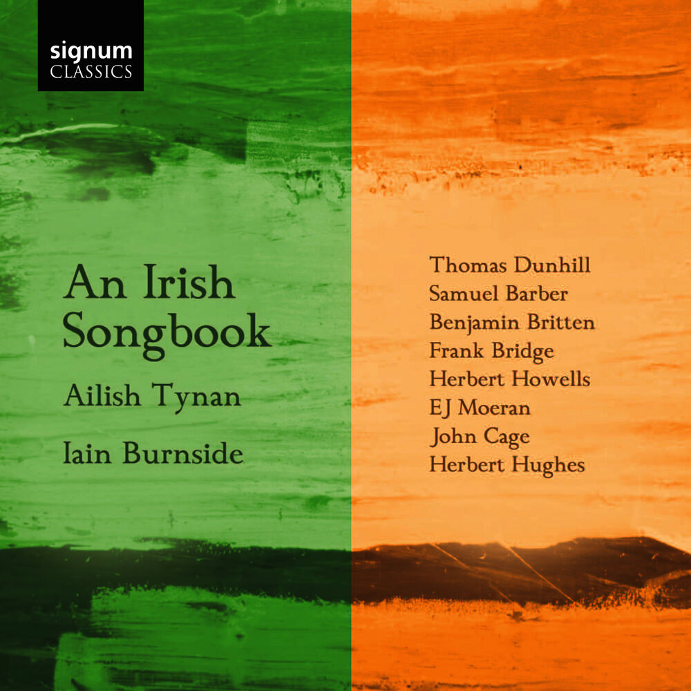 Picture of An Irish Album