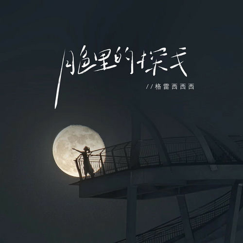 月色里的探戈