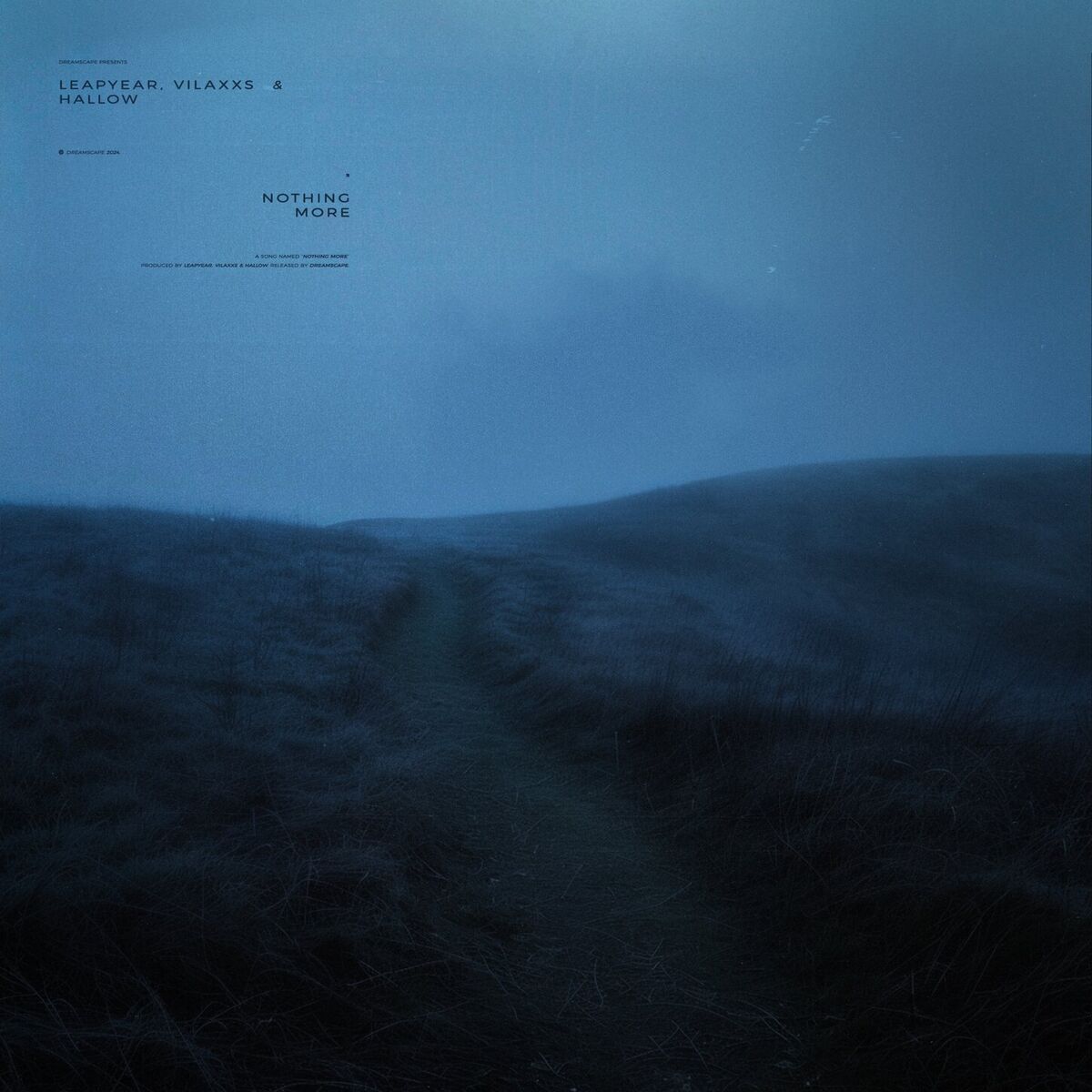 Album cover of nothing more