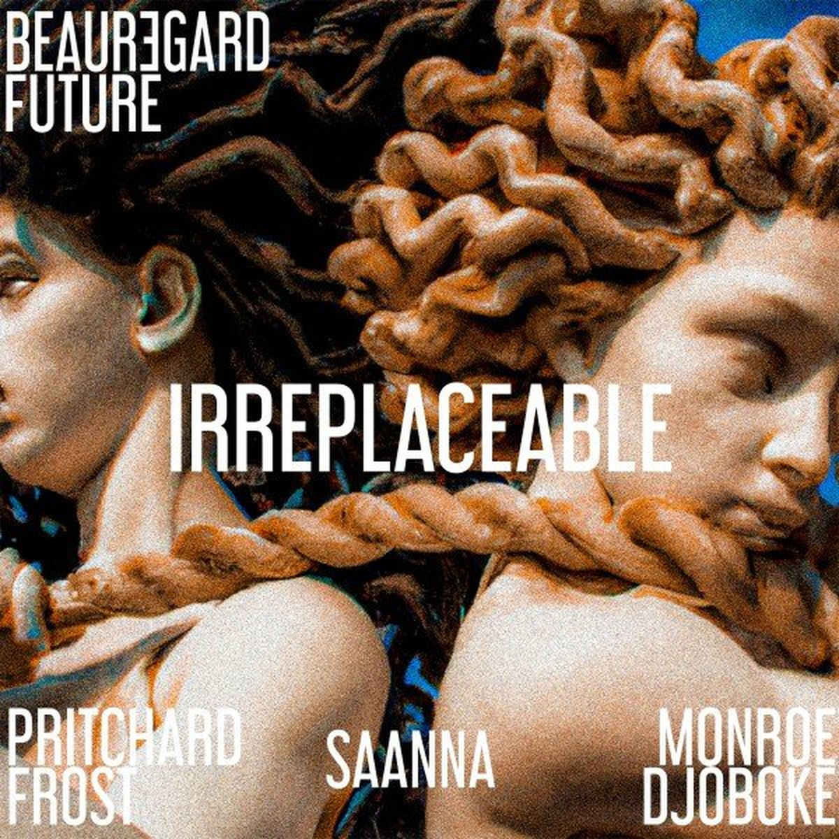 Album cover of Irreplaceable (Hors-Serie Session)