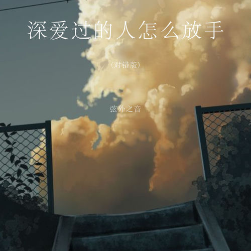 深爱过的人怎么放手 (对错版)