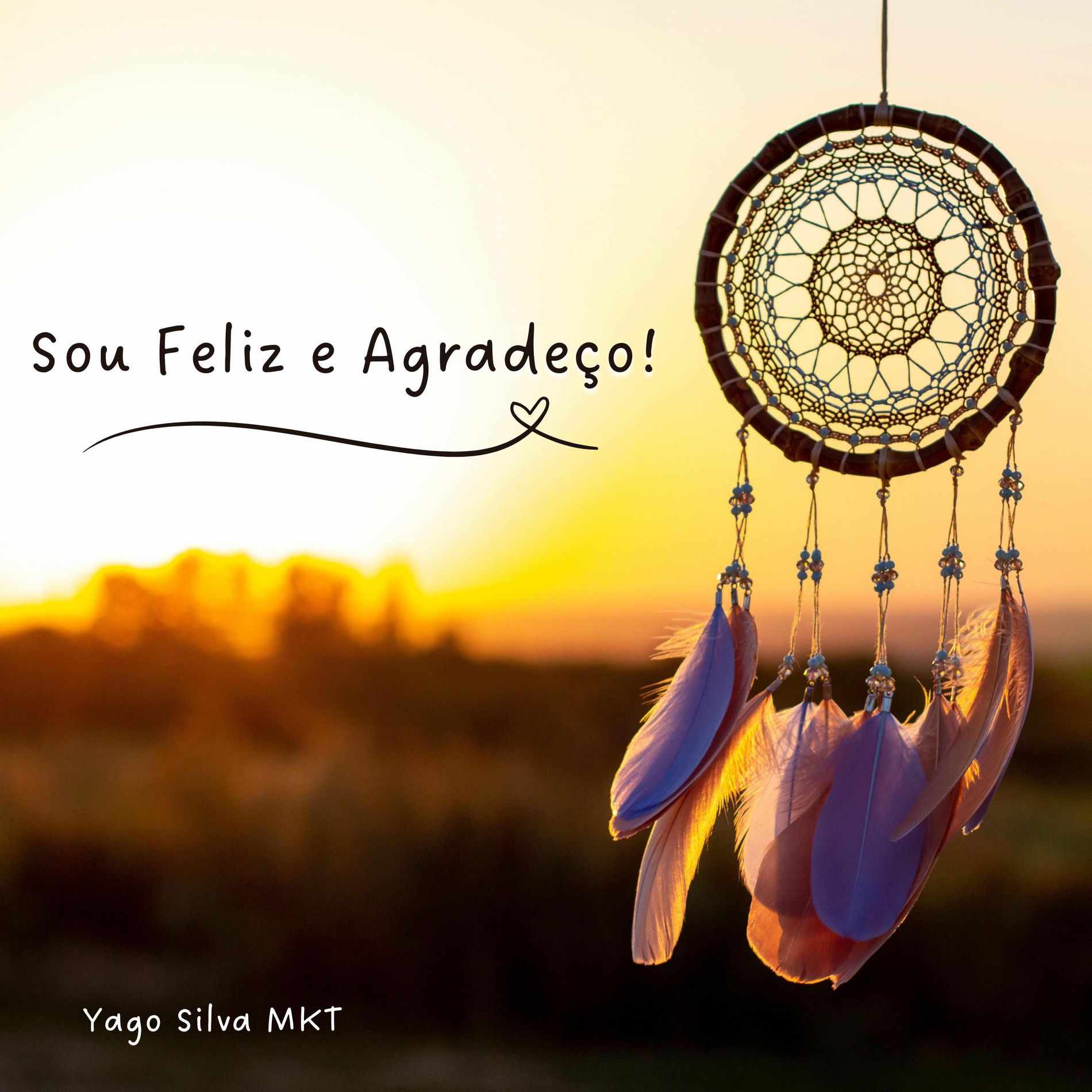Album cover of Sou feliz e agradeço