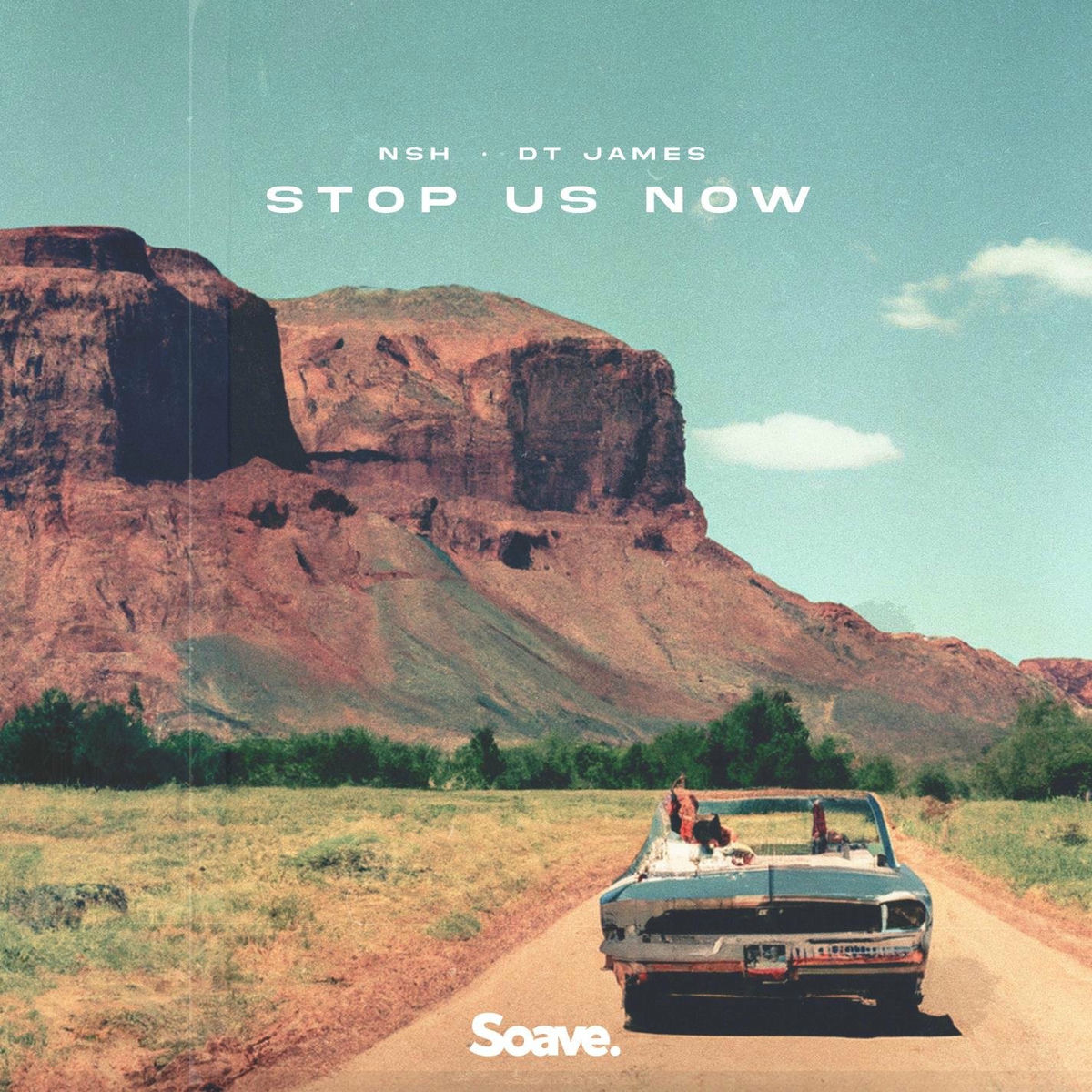 Album cover of Stop Us Now