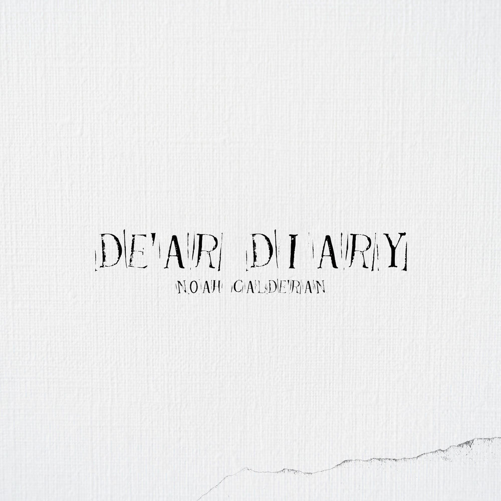 Dear Diary artwork