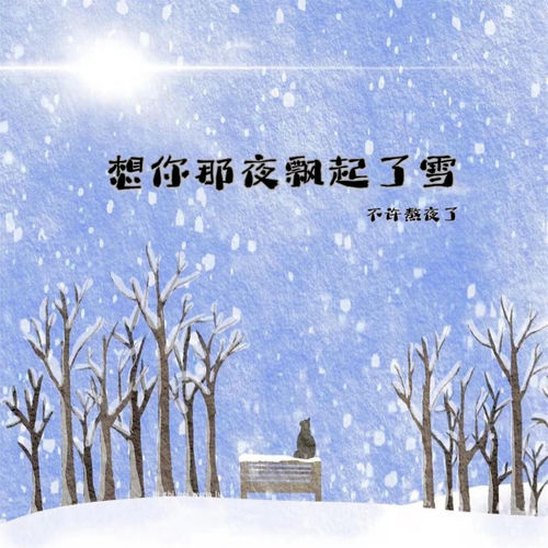 想你那夜飘起了雪