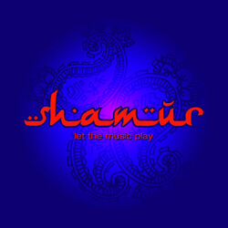 Cover of Let The Music Play