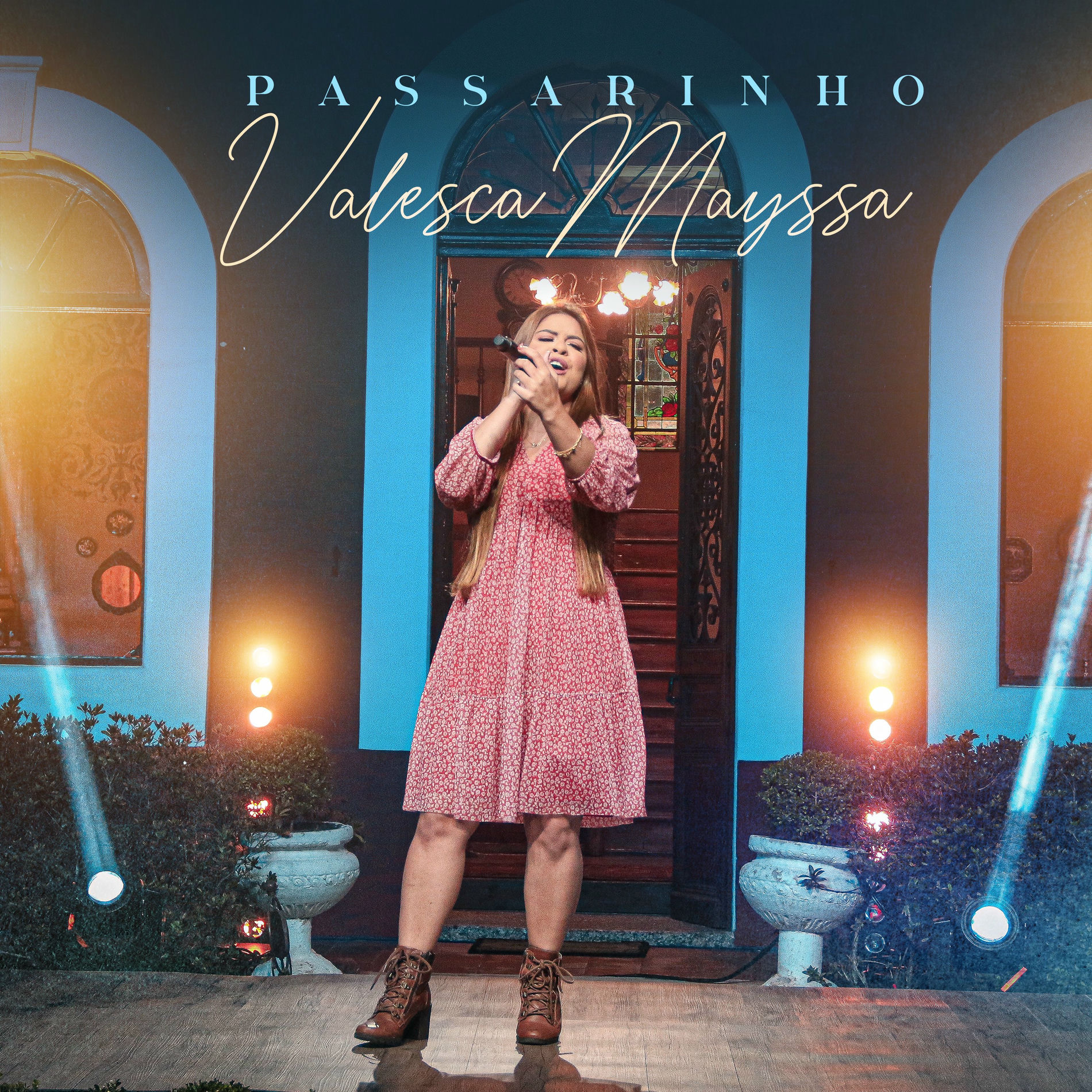 Album cover of Passarinho