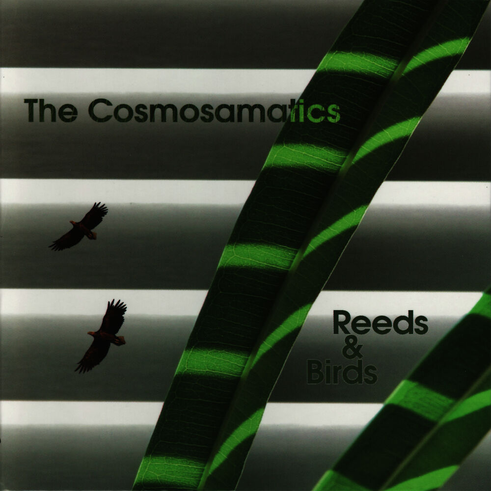 Picture of Reeds and Birds