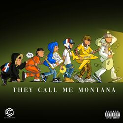 Cover of THEY CALL ME MONTANA