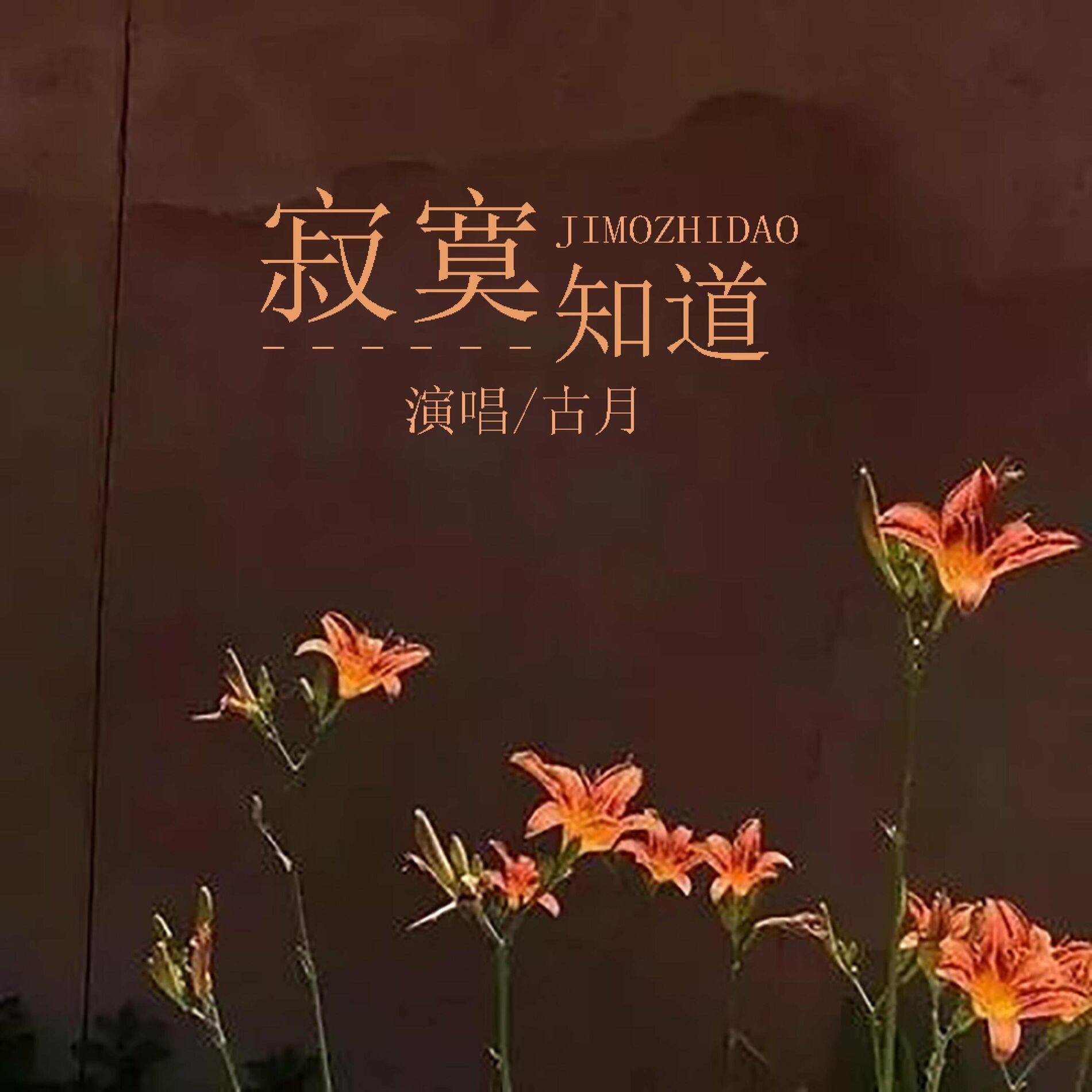 Album cover of 寂寞知道