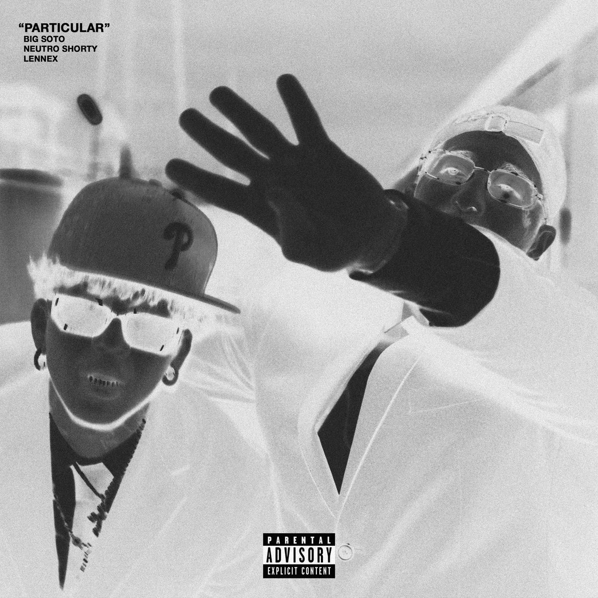 Album cover of PARTICULAR