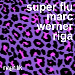 Cover of Riga