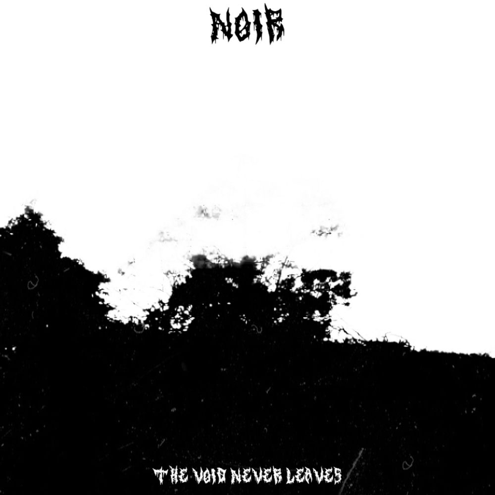 Album artwork for The Void Never Leaves by NOIR