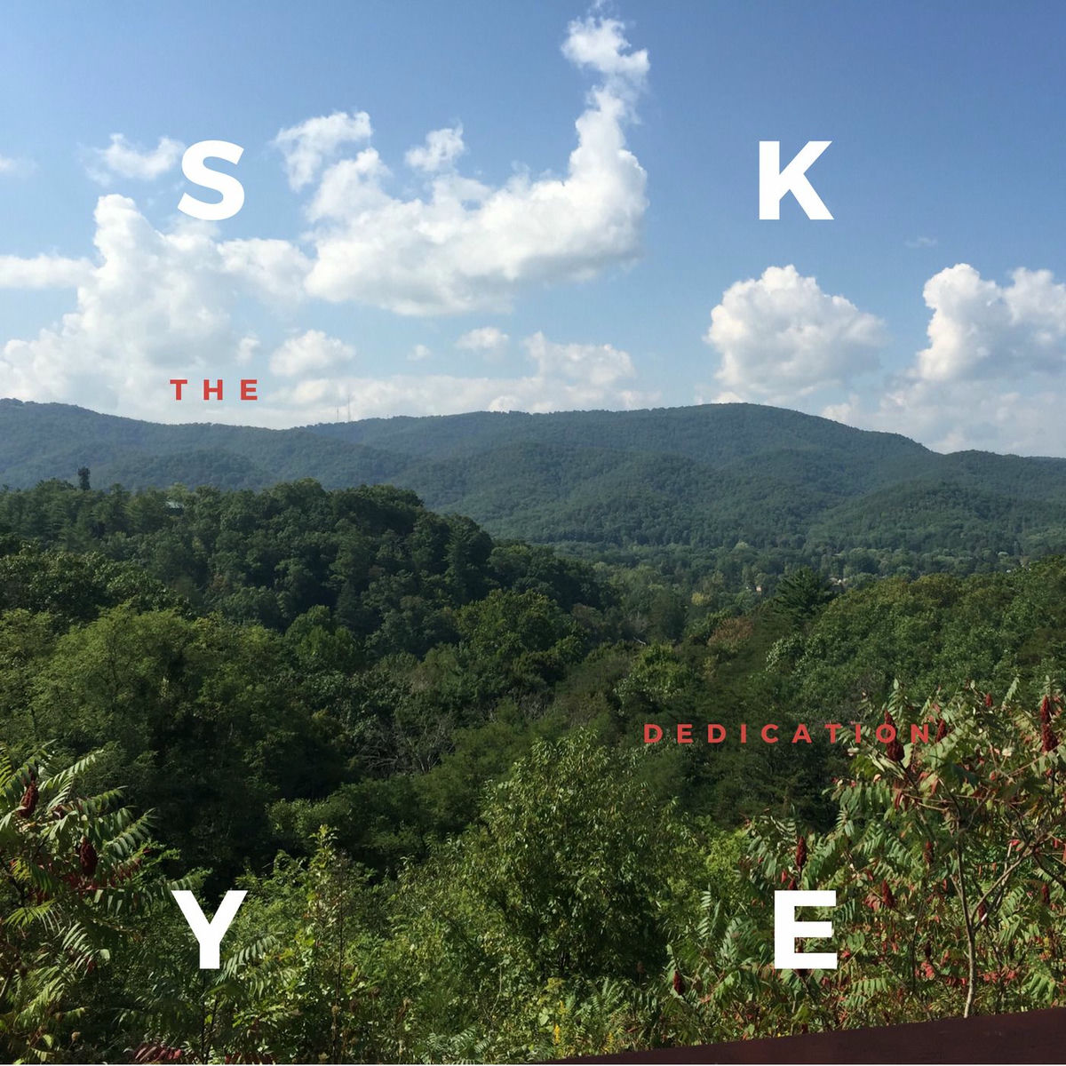 Album cover of The Dedication Mixtape