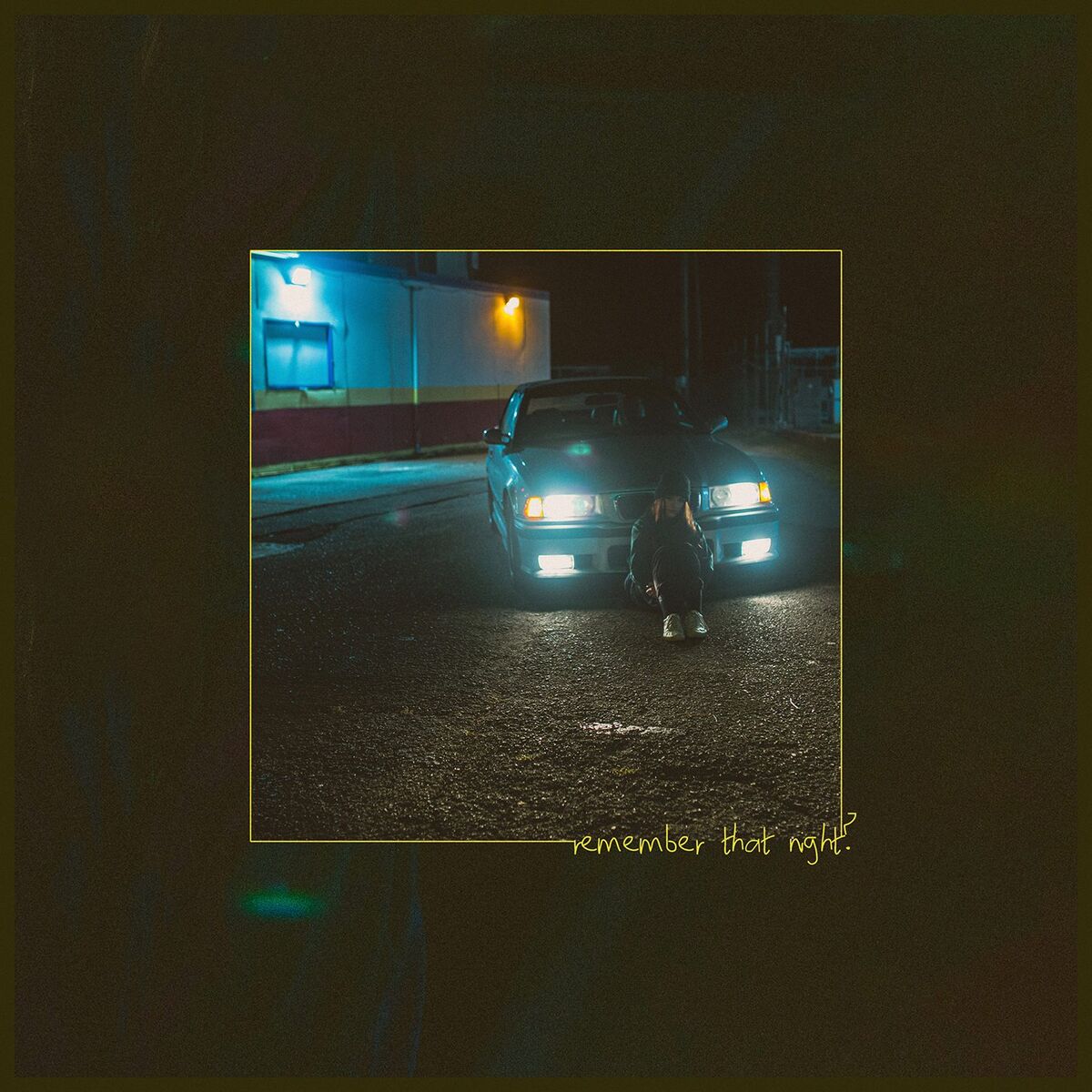 Album cover of Remember That Night?