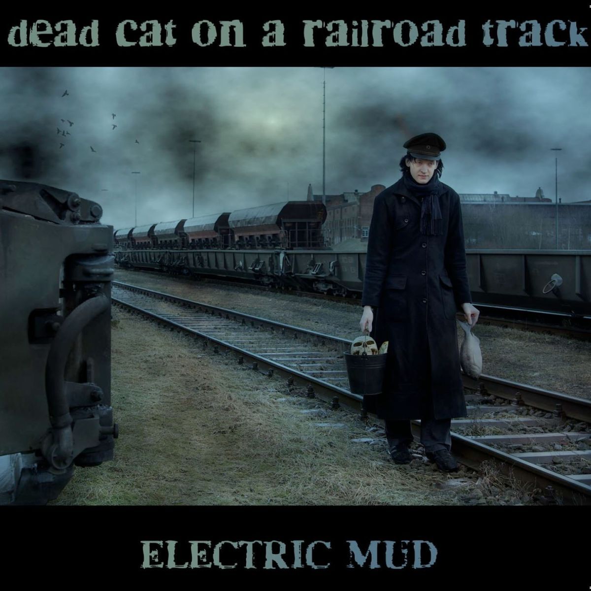 Album cover of Dead Cat On a Railroad Track