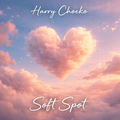 Soft Spot