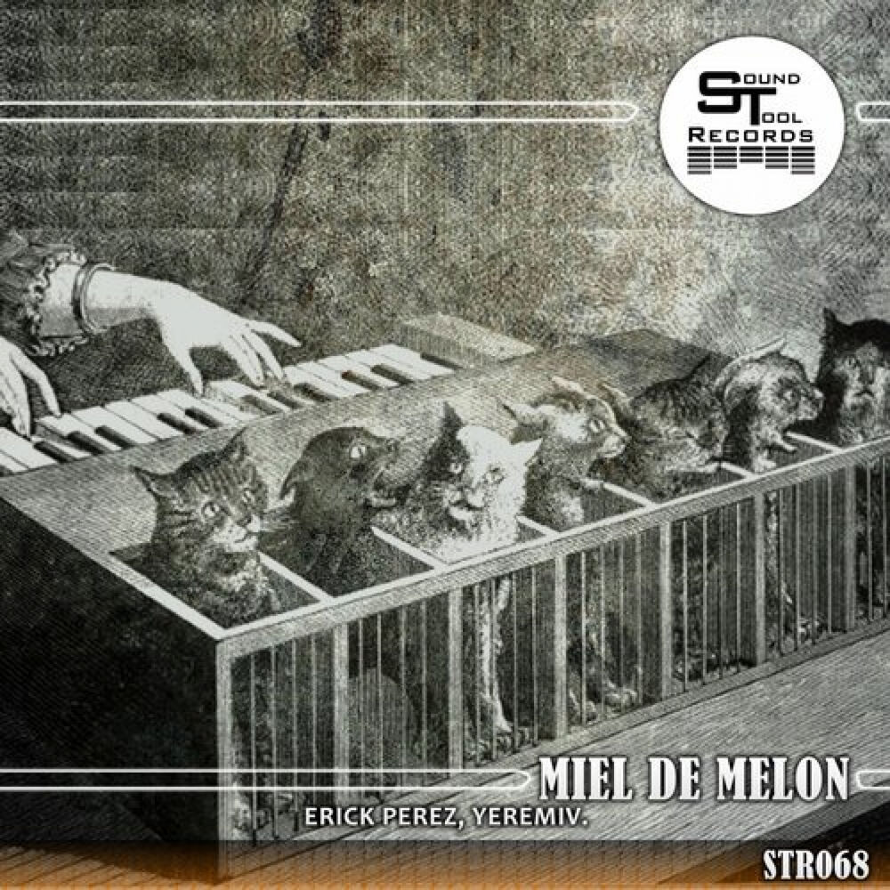 Picture of Miel De Melon