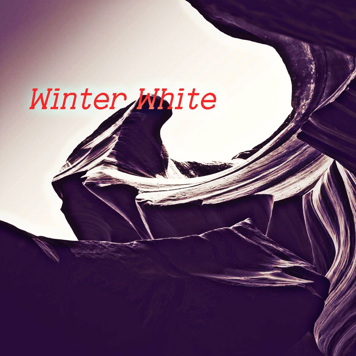 Album cover of Winter White